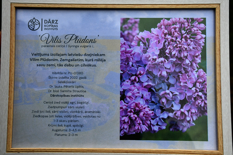 Autors: Ivars Bogdanovs