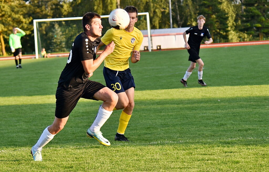 Autors: Uldis Varnevičs