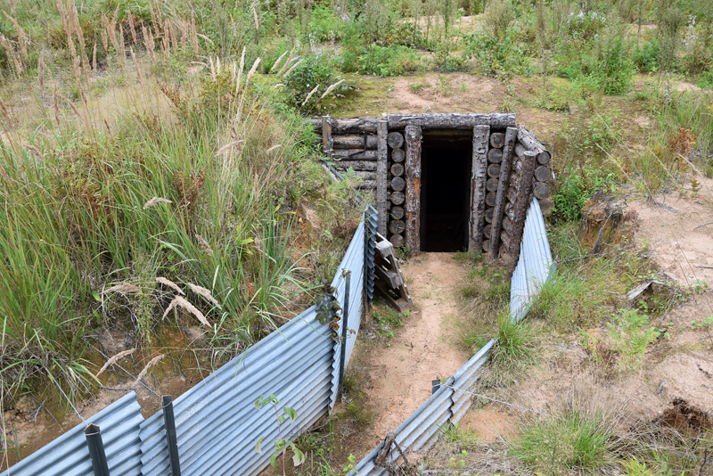 Autors: Māris Krūmiņš