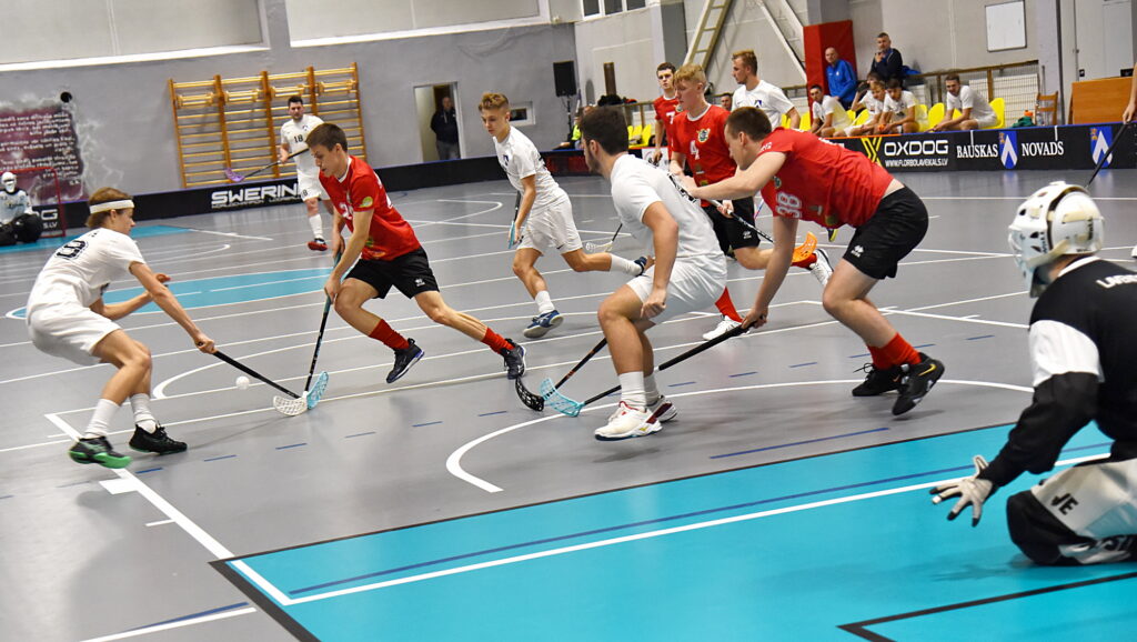 Autors: Uldis Varnevičs