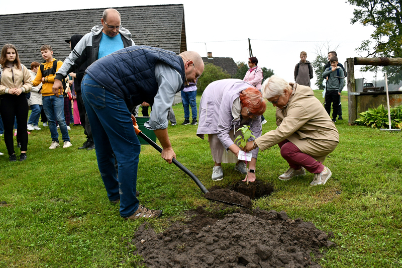 Autors: Ivars Bogdanovs
