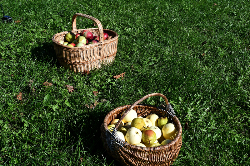 Autors: Ivars Bogdanovs