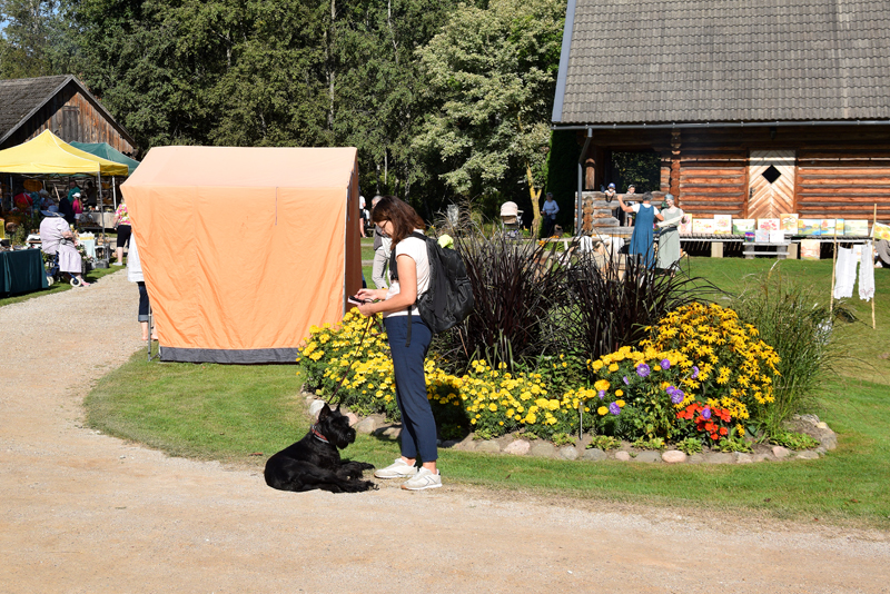 Autors: Māris Krūmiņš