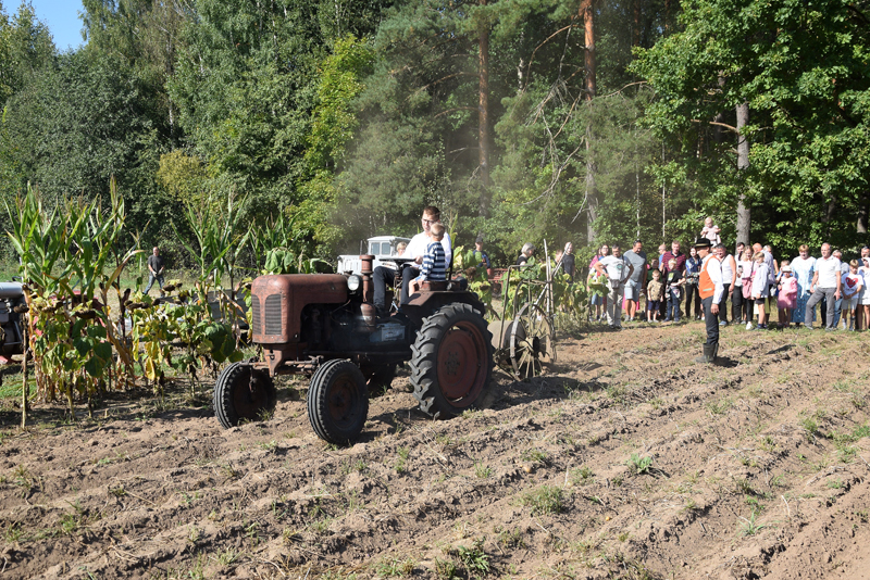 Autors: Māris Krūmiņš