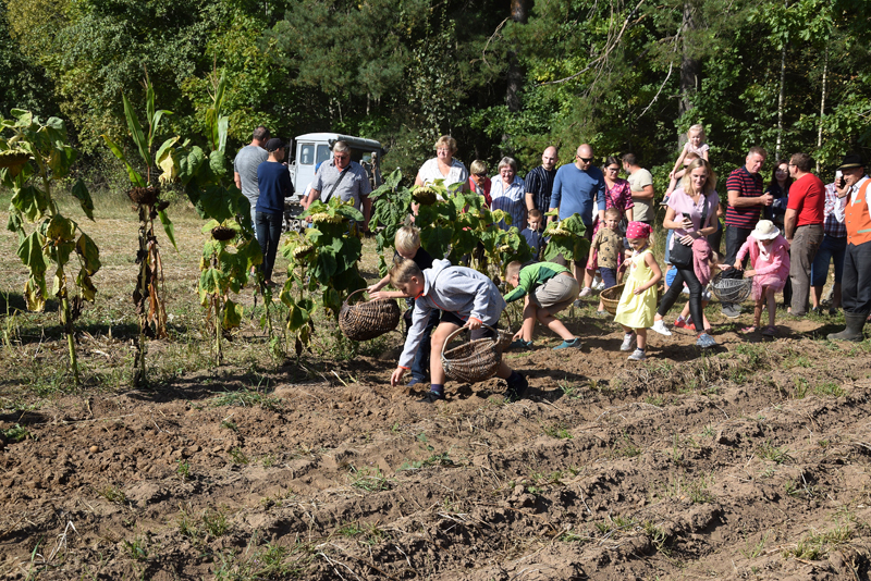 Autors: Māris Krūmiņš