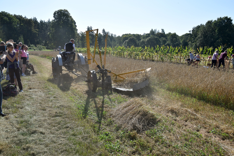 Autors: Māris Krūmiņš