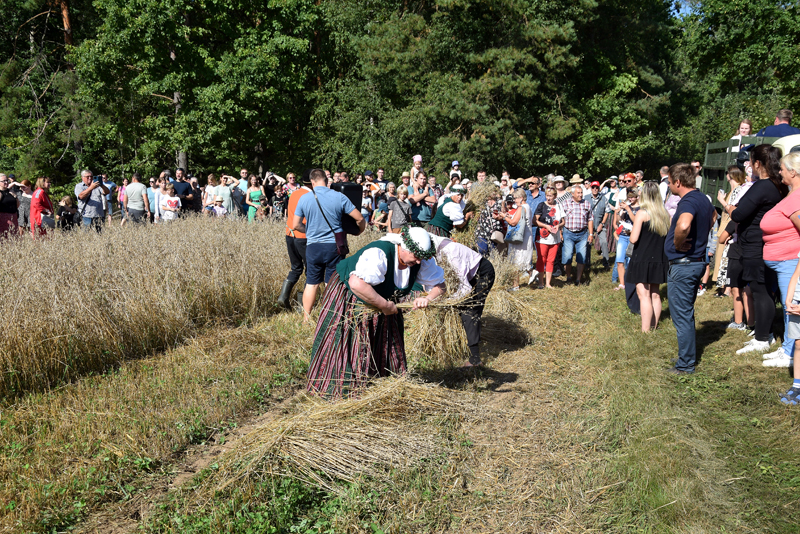 Autors: Māris Krūmiņš