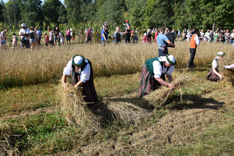 Autors: Māris Krūmiņš