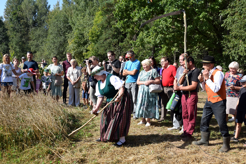 Autors: Māris Krūmiņš