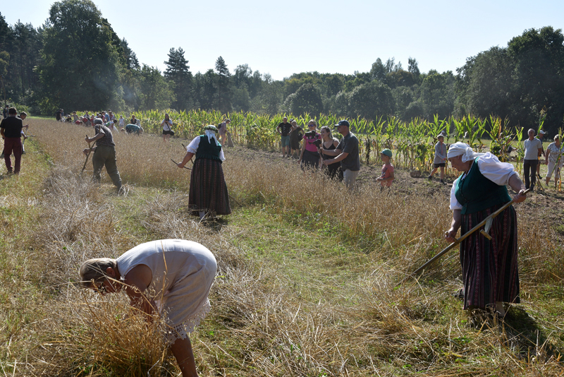 Autors: Māris Krūmiņš