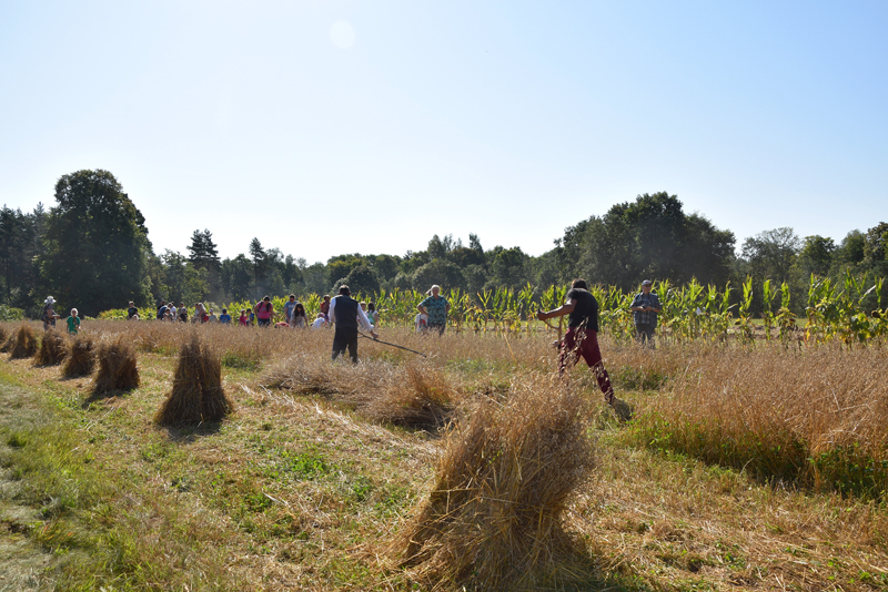 Autors: Māris Krūmiņš