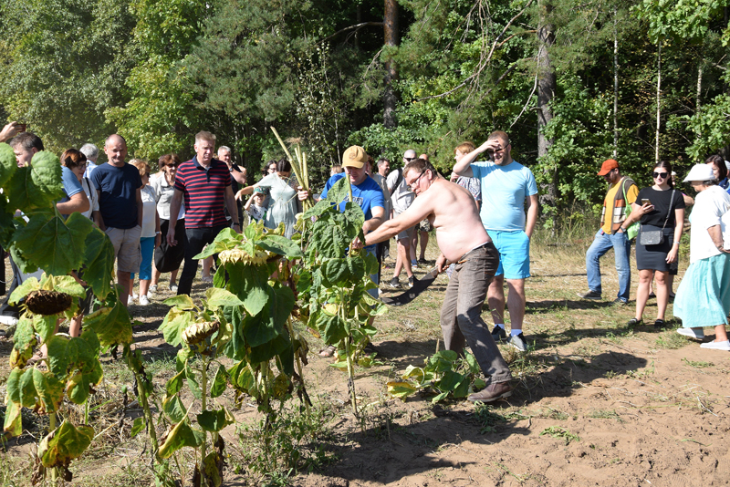 Autors: Māris Krūmiņš