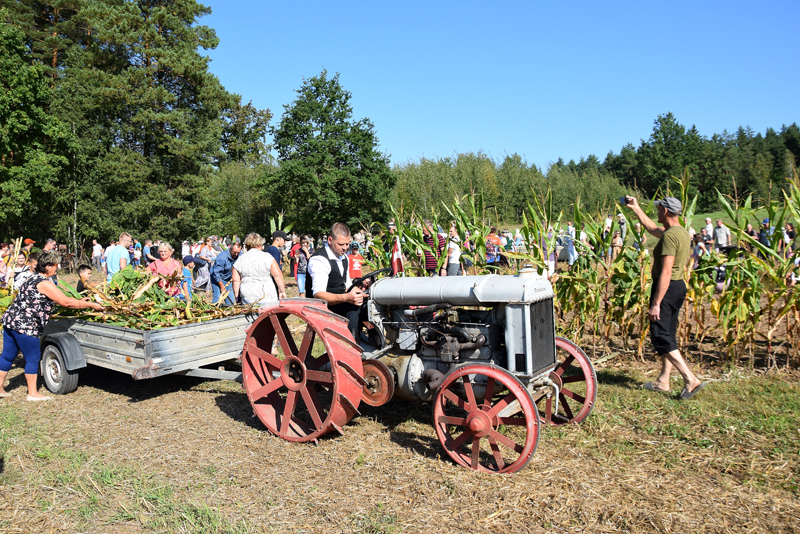 Autors: Māris Krūmiņš