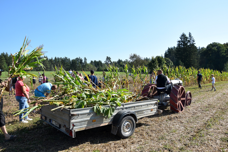 Autors: Māris Krūmiņš