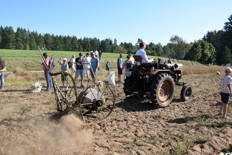 Autors: Māris Krūmiņš