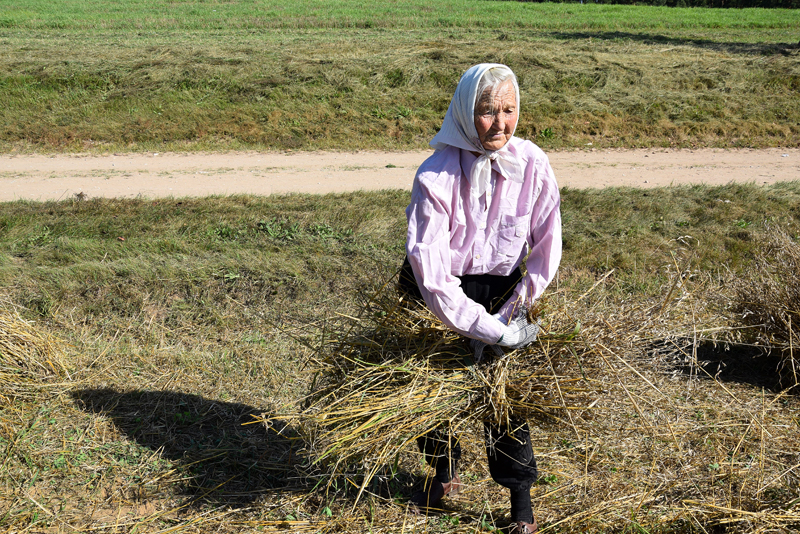 Autors: Māris Krūmiņš