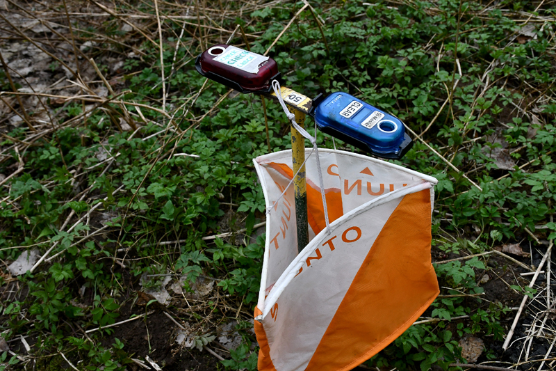 Autors: Ivars Bogdanovs