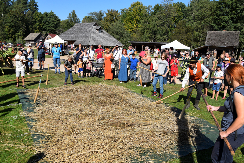 Autors: Māris Krūmiņš
