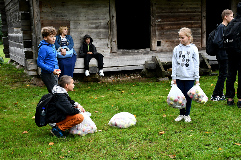 Autors: Ivars Bogdanovs