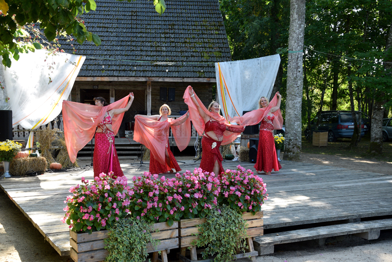 Autors: Māris Krūmiņš