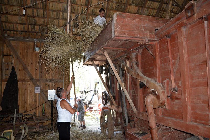 Autors: Māris Krūmiņš