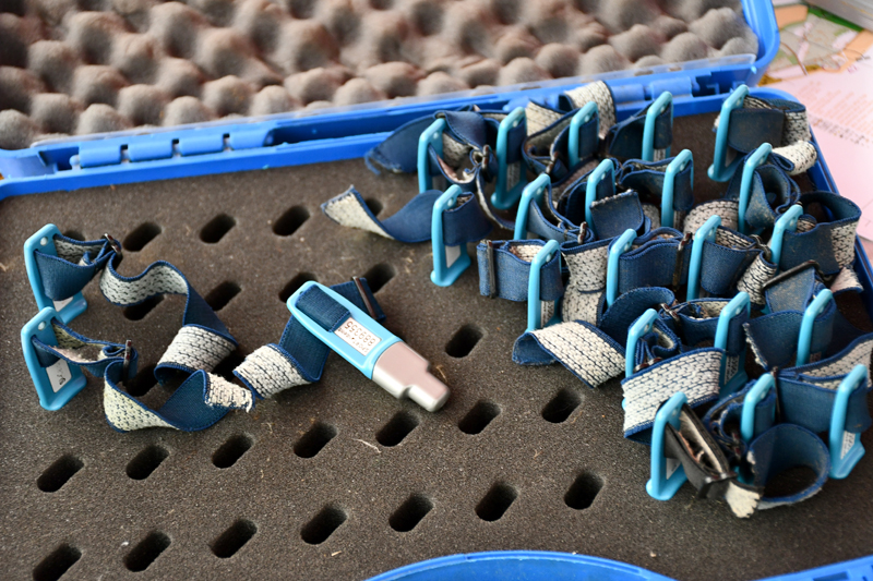 Autors: Ivars Bogdanovs