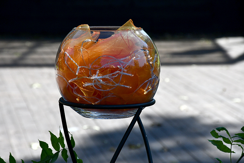 Autors: Ivars Bogdanovs