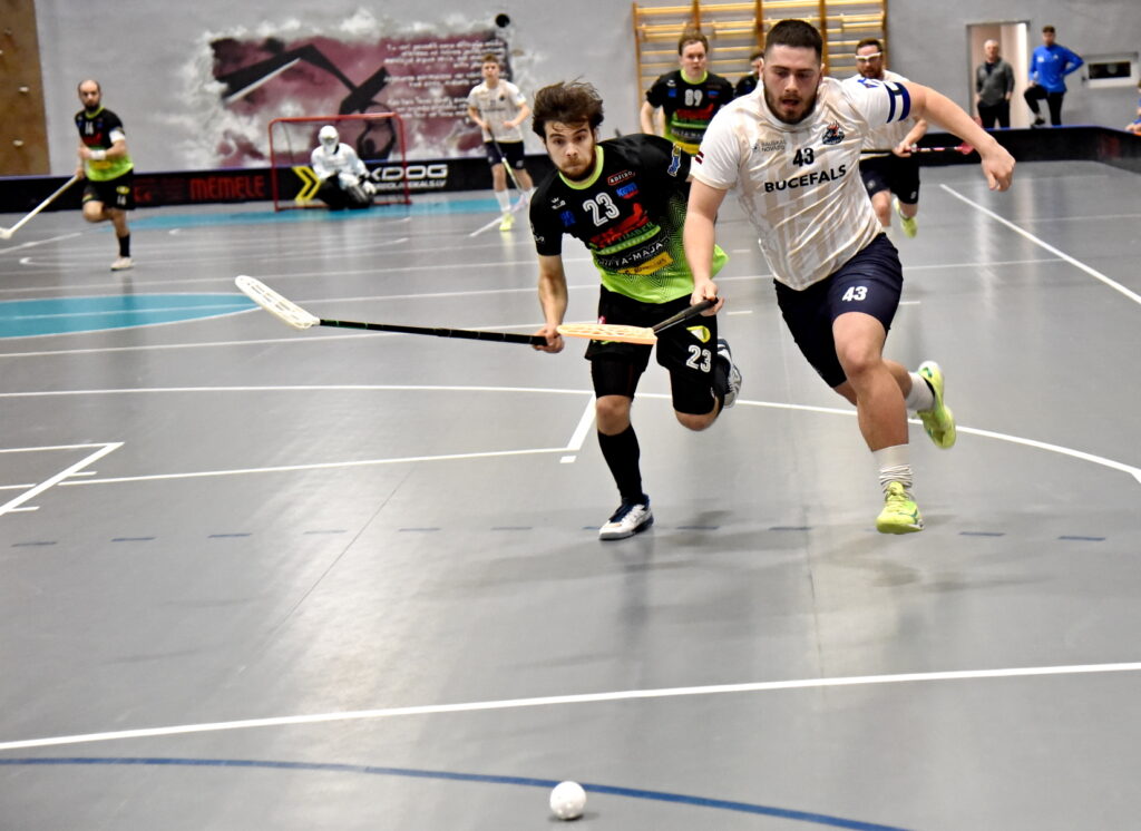 Autors: Uldis Varnevičs