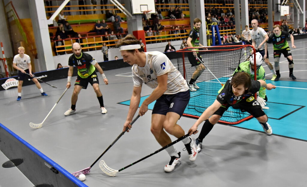 Autors: Uldis Varnevičs