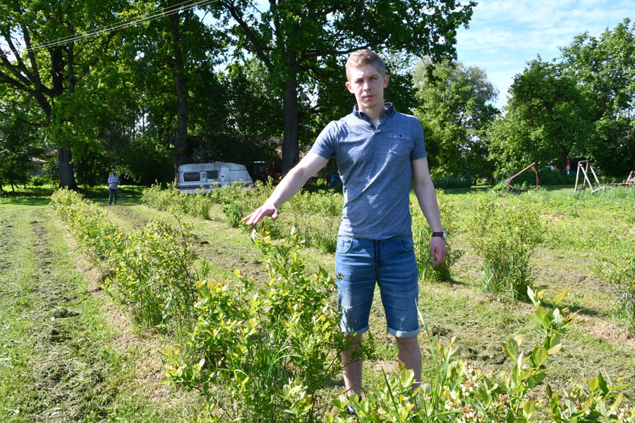 Aluksniesiem.lv raksta attēla aizvietotājs