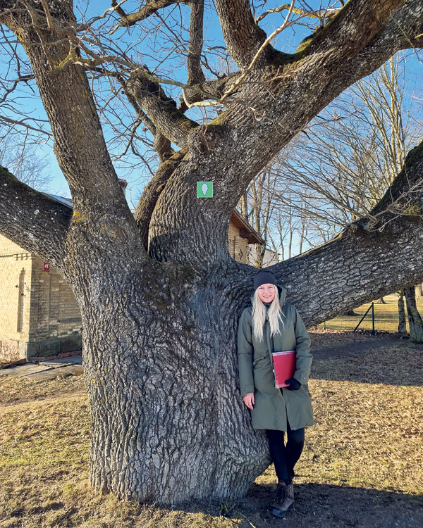Aluksniesiem.lv raksta attēla aizvietotājs