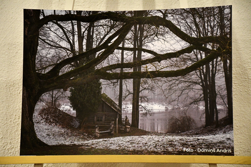 Autors: Ivars Bogdanovs