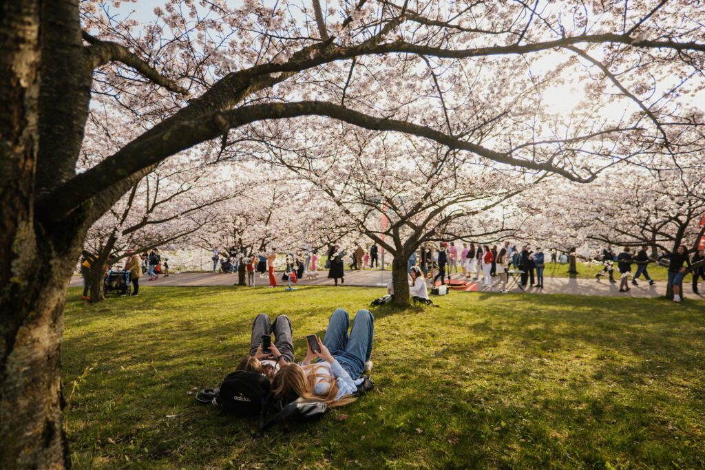 Autors: Publicitātes foto