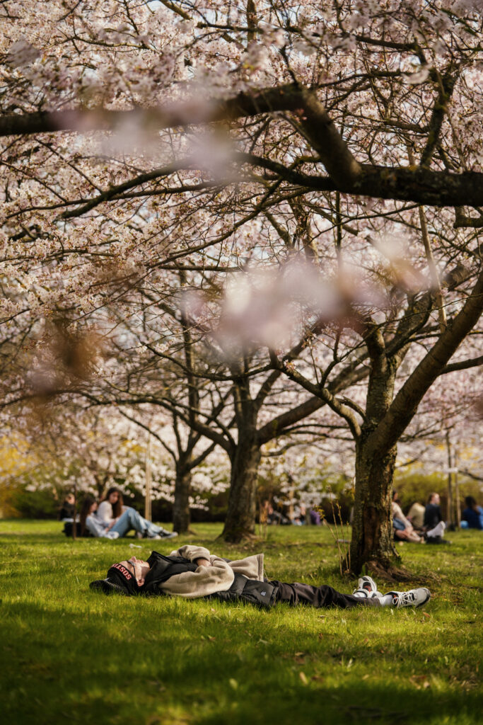 Autors: Publicitātes foto