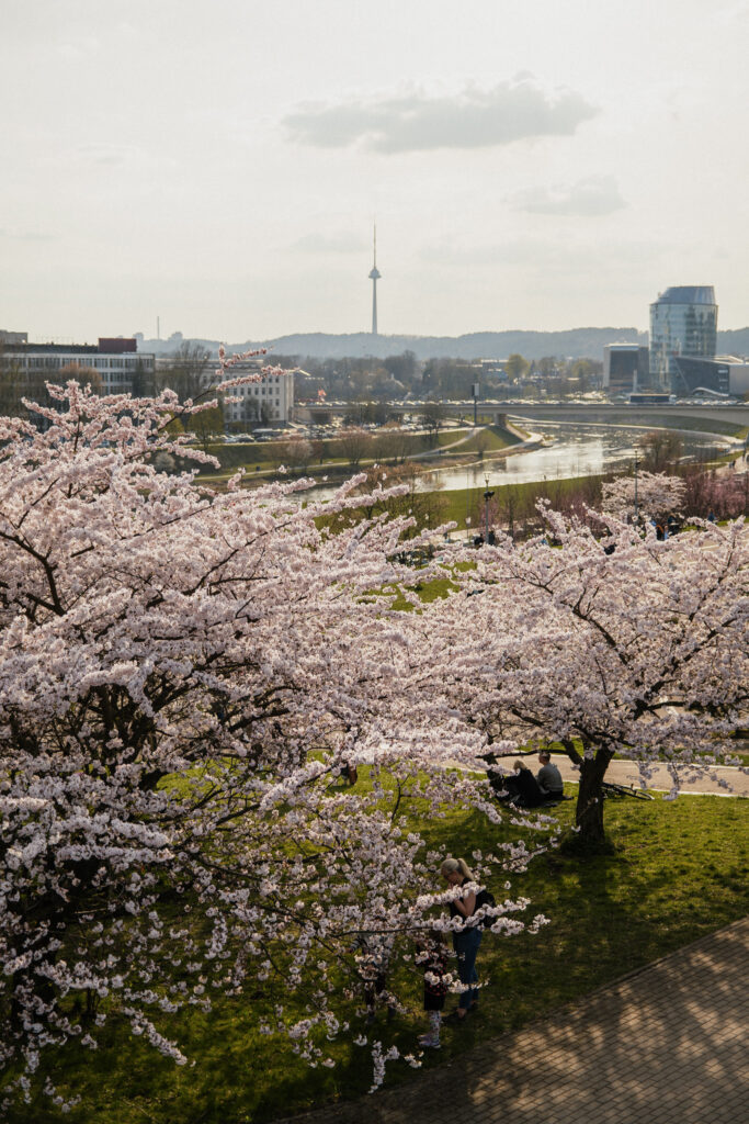 Autors: Publicitātes foto