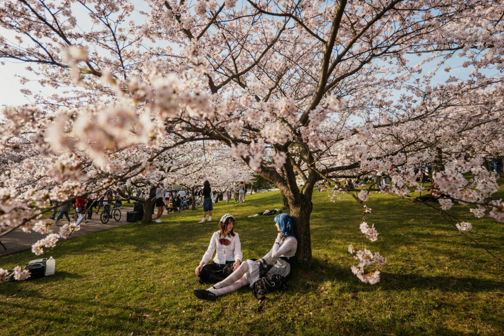 Autors: Publicitātes foto