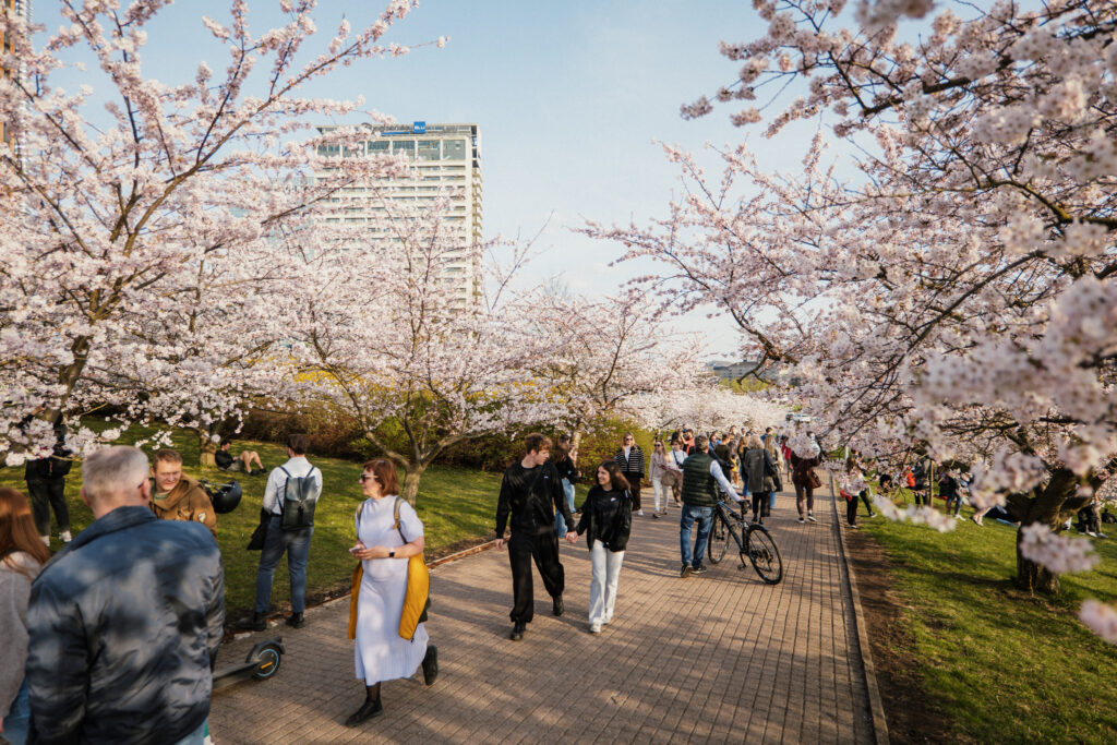 Autors: Publicitātes foto