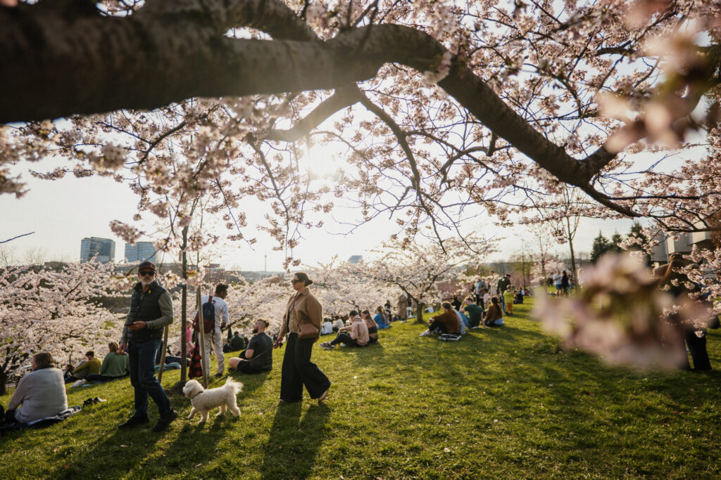 Autors: Publicitātes foto