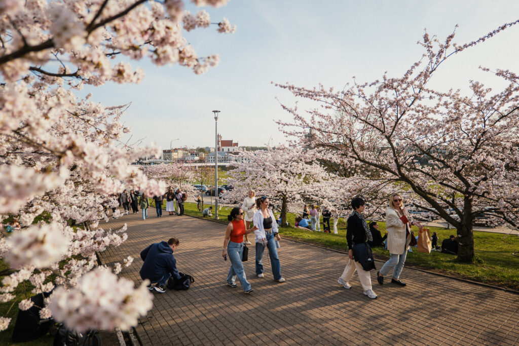 Autors: Publicitātes foto