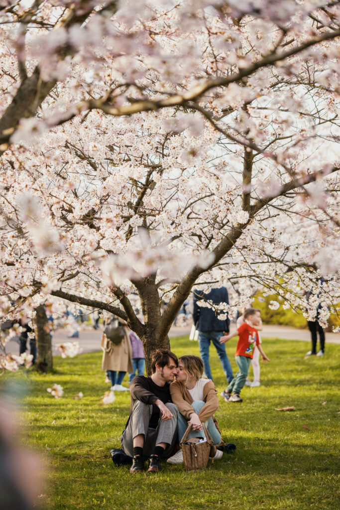 Autors: Publicitātes foto