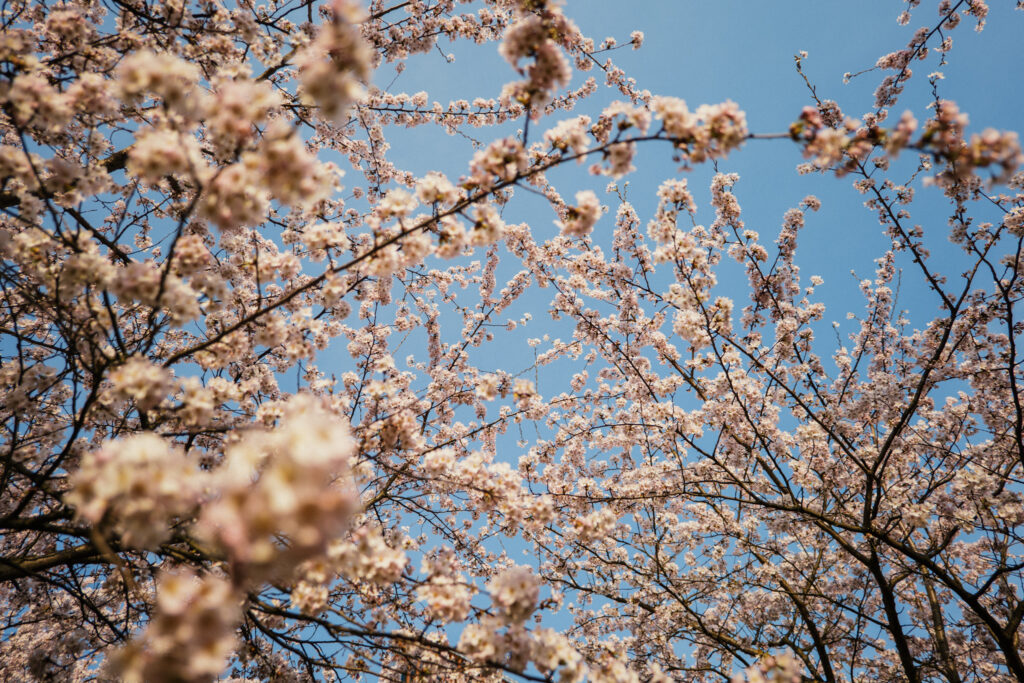 Autors: Publicitātes foto