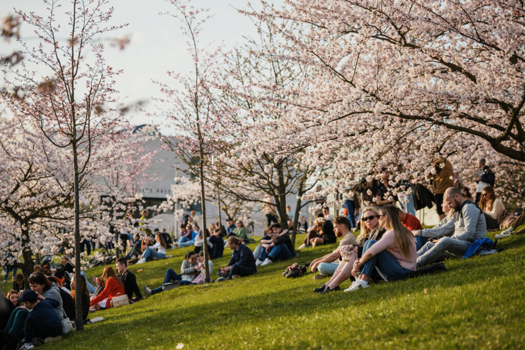 Autors: Publicitātes foto