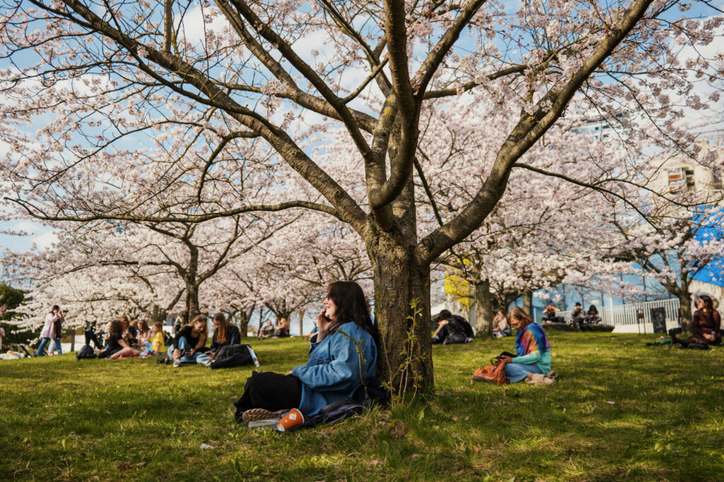 Autors: Publicitātes foto