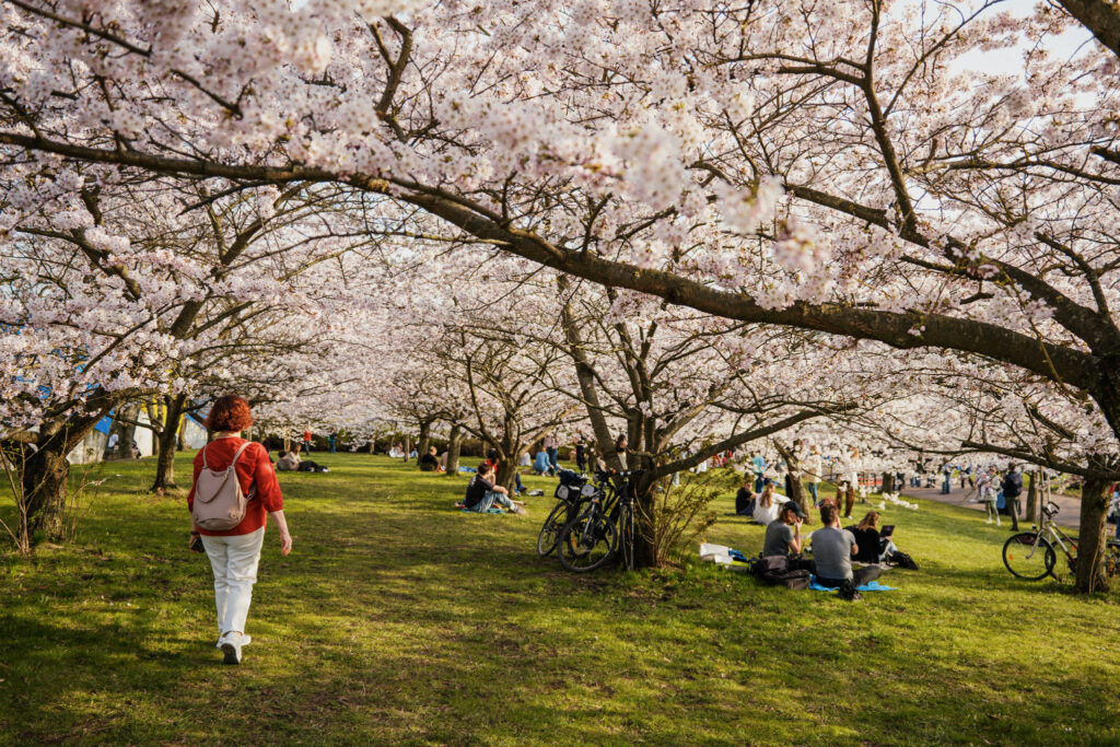 Autors: Publicitātes foto