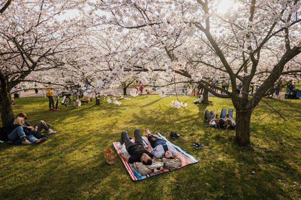 Autors: Publicitātes foto