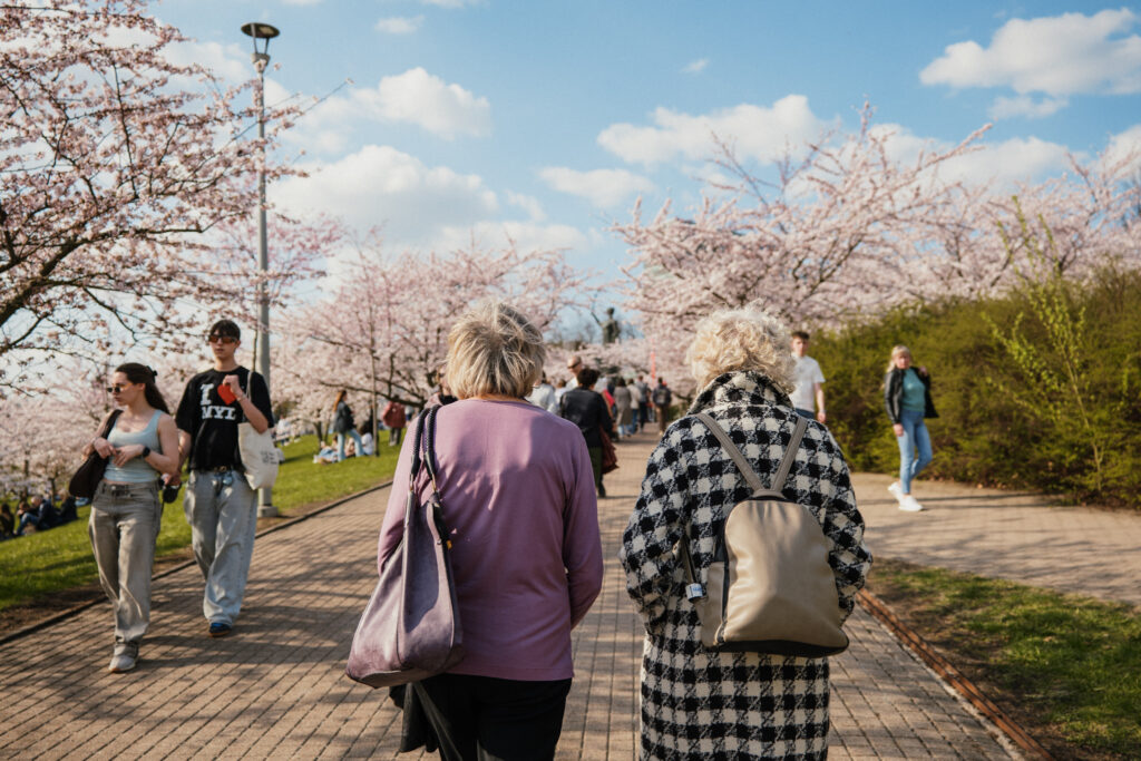 Autors: Publicitātes foto