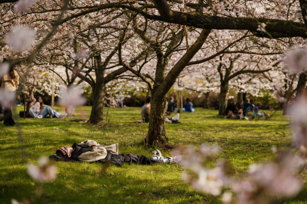 Autors: Publicitātes foto