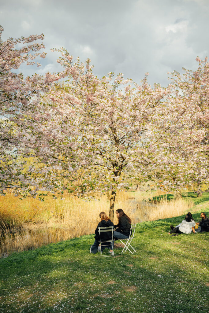 Autors: Publicitātes foto