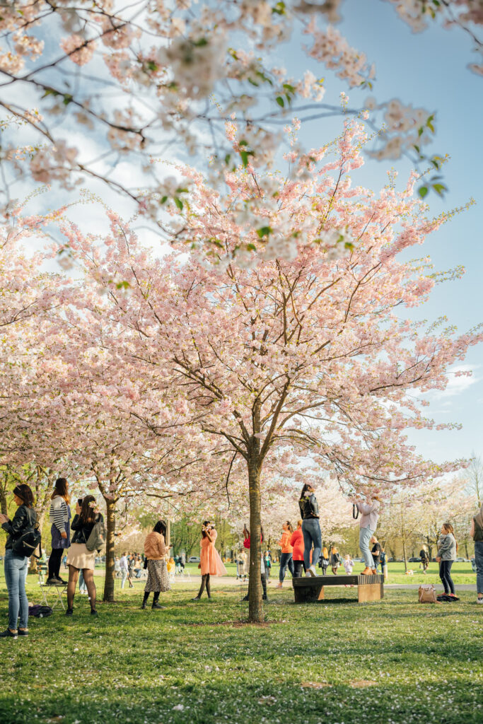 Autors: Publicitātes foto