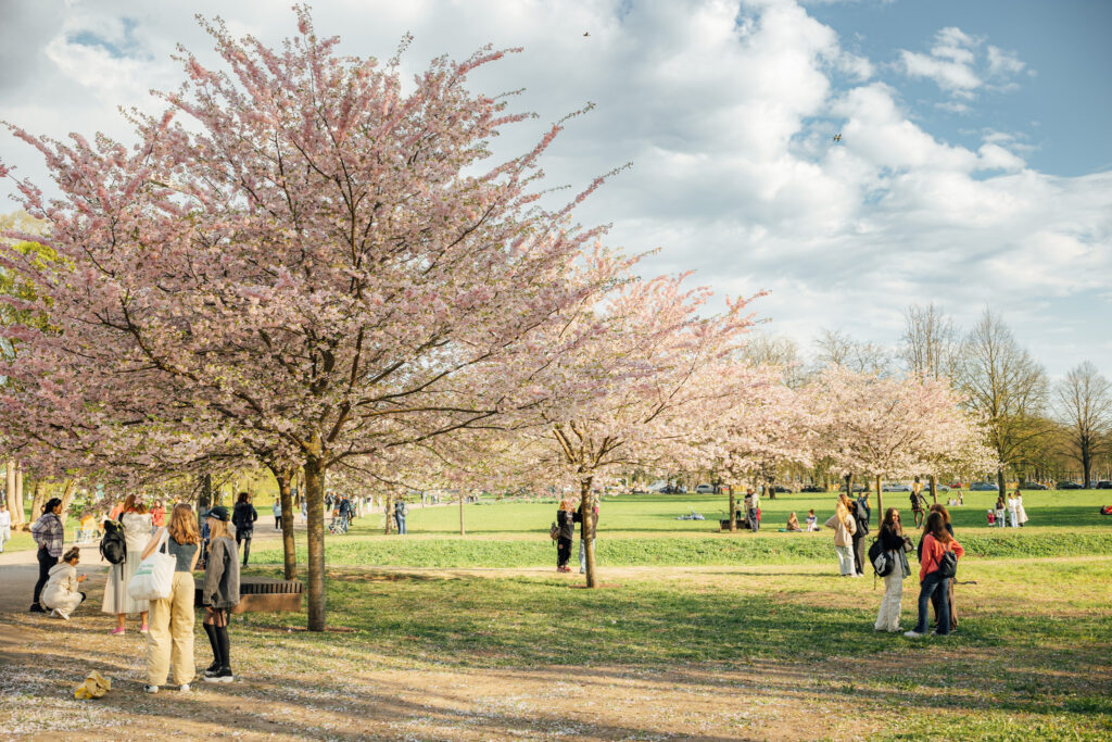 Autors: Publicitātes foto